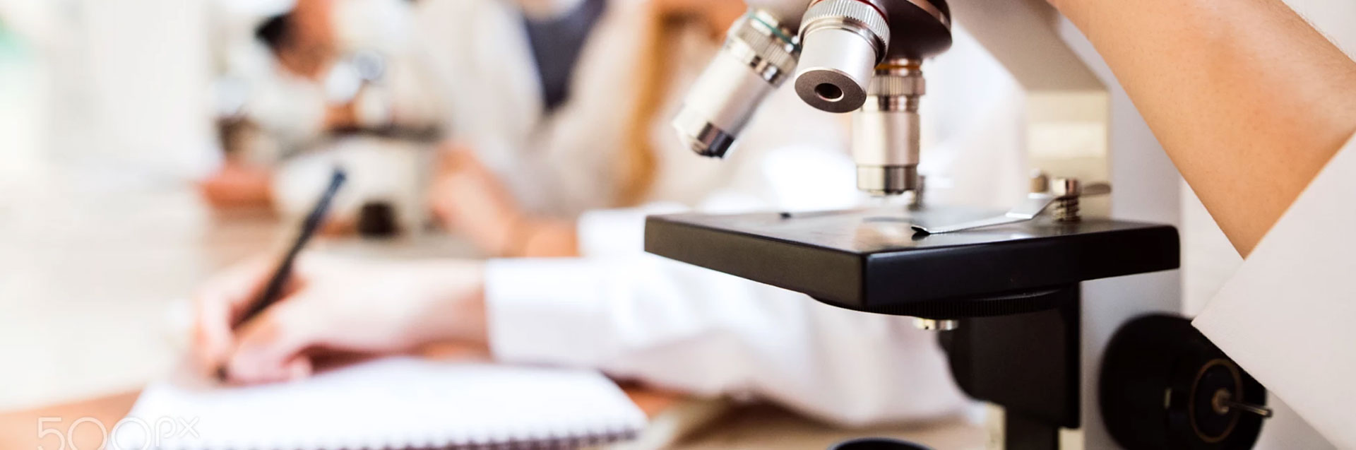 99499威尼斯(中国)有限公司首页