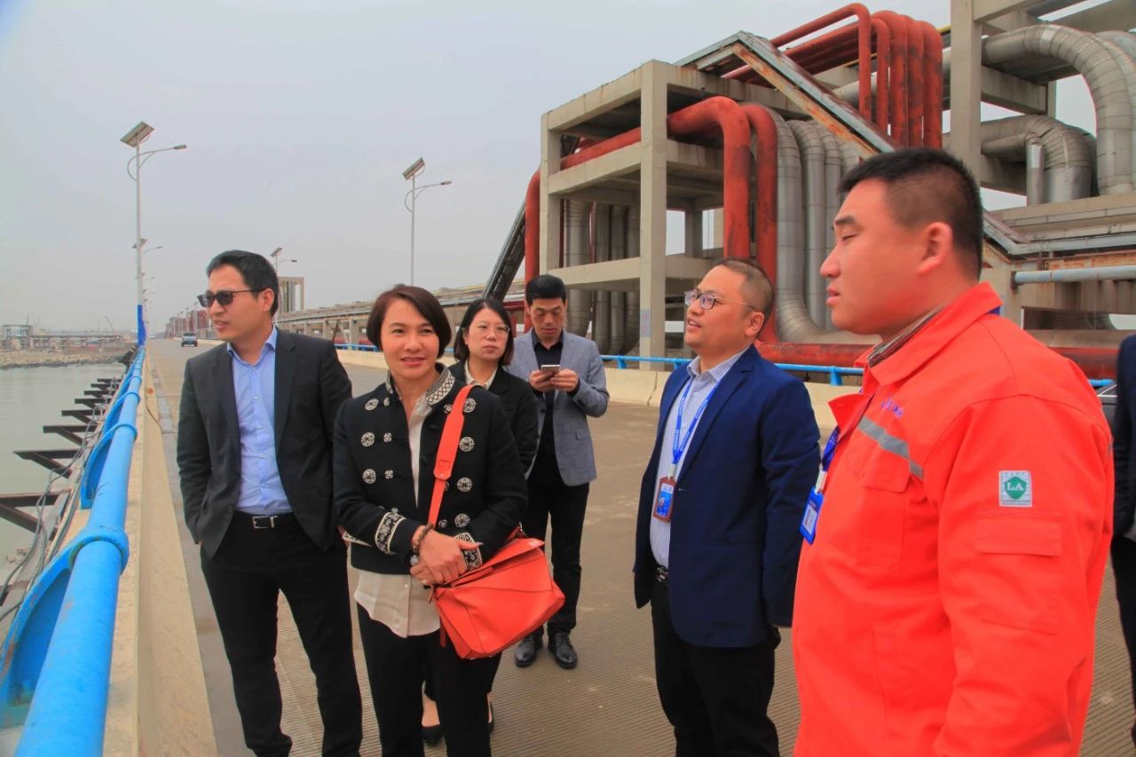 99499威尼斯(中国)有限公司首页