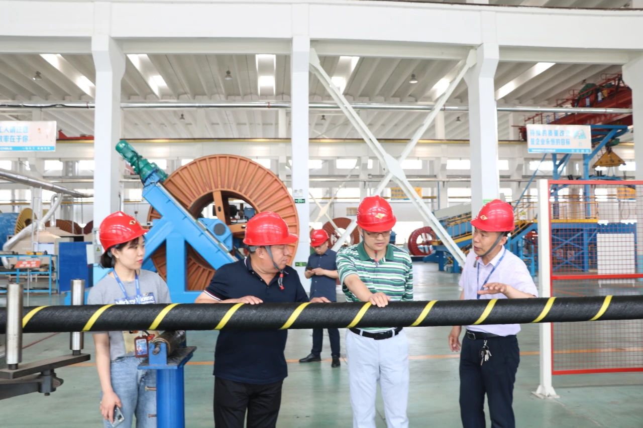 99499威尼斯(中国)有限公司首页